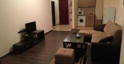 RENTAL ONE BEDROOM APARTMENT IN CENTER