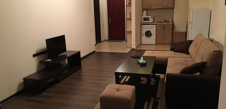 RENTAL ONE BEDROOM APARTMENT IN CENTER