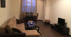 RENTAL ONE BEDROOM APARTMENT IN CENTER