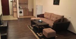 RENTAL ONE BEDROOM APARTMENT IN CENTER
