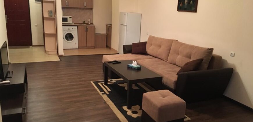 RENTAL ONE BEDROOM APARTMENT IN CENTER